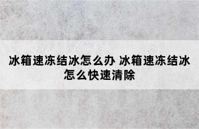 冰箱速冻结冰怎么办 冰箱速冻结冰怎么快速清除